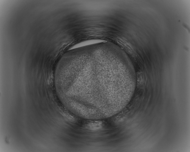 X0000092230369200710121223