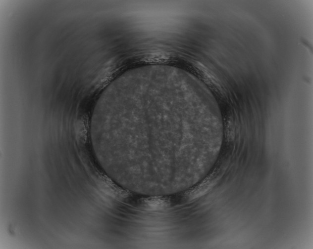 X0000092230370200710121223