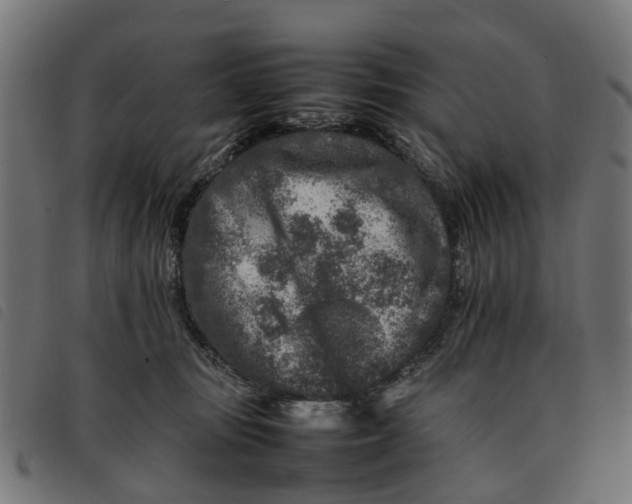 X0000092230371200710121223