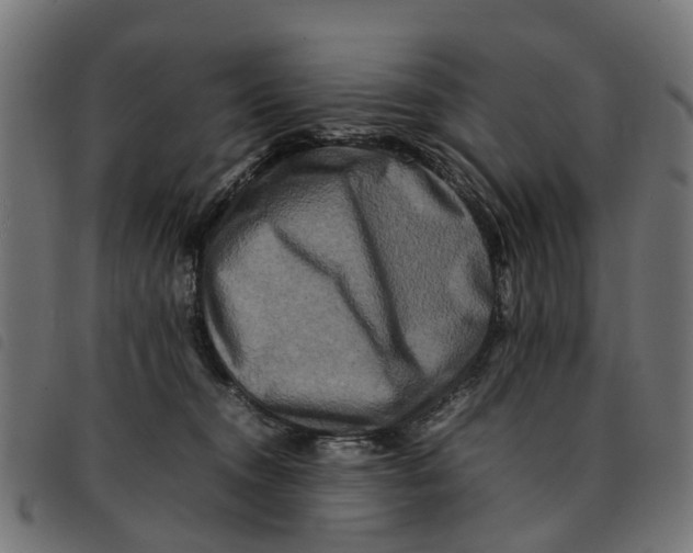 X0000092230372200710121223