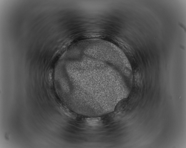 X0000092230373200710121223