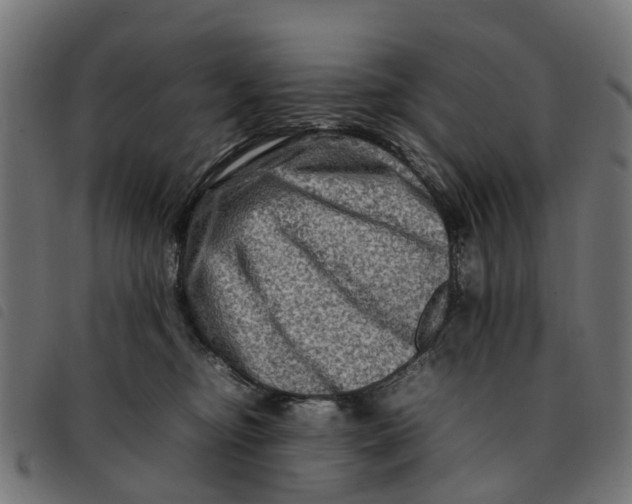 X0000092230374200710121223