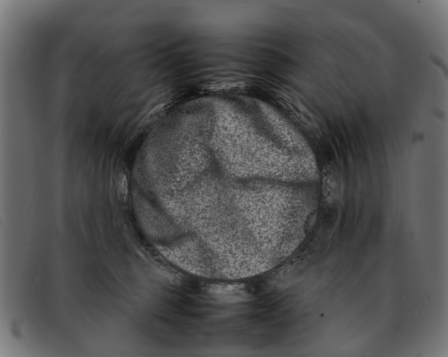 X0000092230375200710121223