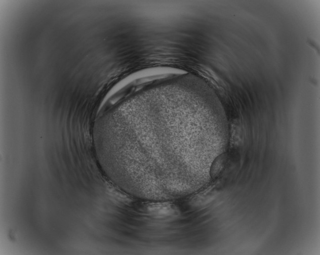 X0000092230377200710121223