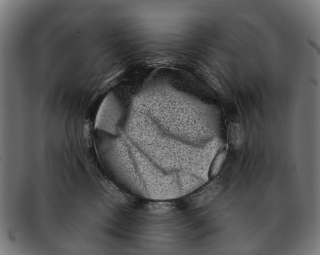 X0000092230378200710121223