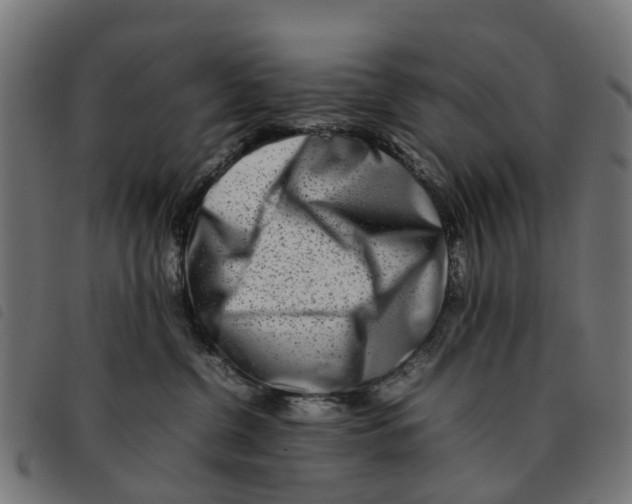 X0000092230380200710121223