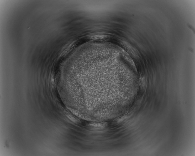 X0000092230381200710121223