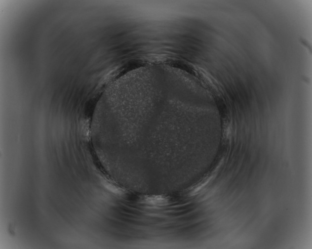 X0000092230383200710121223