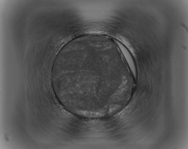 X0000092230385200710121222