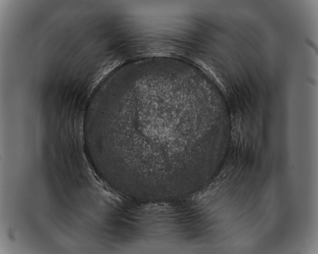 X0000092230386200710121222