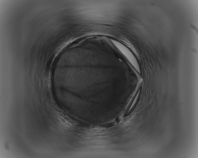 X0000092230387200710121222