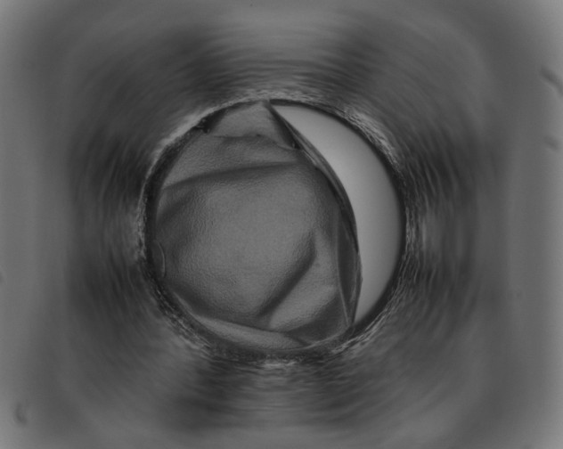 X0000092230388200710121222