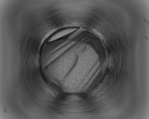 X0000092230392200710121222