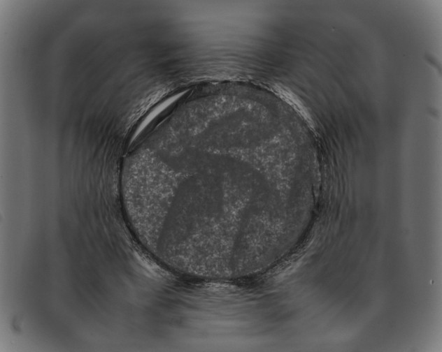 X0000092230393200710121222