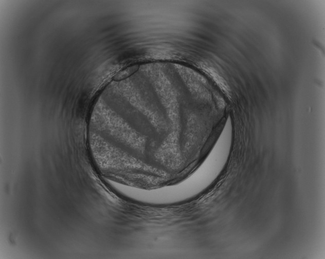 X0000092230397200710121222