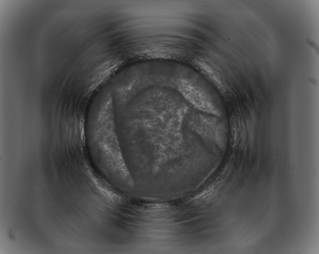 X0000092230398200710121222