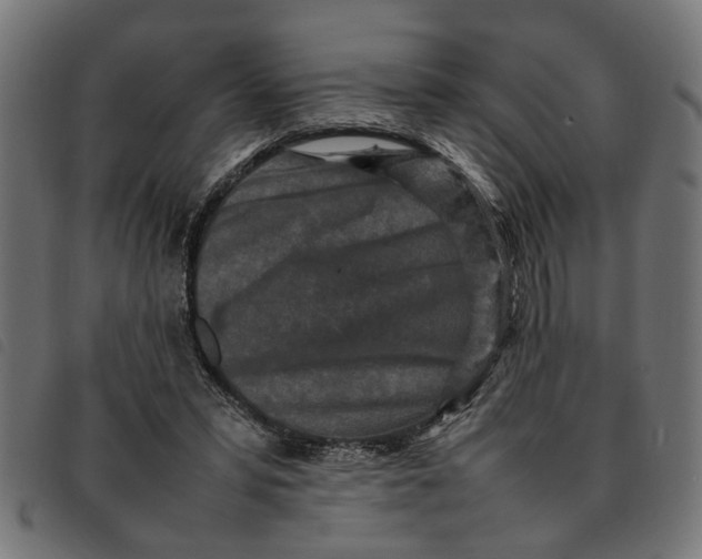 X0000092230399200710121222