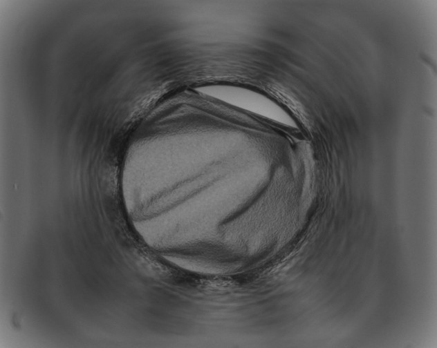 X0000092230401200710121222