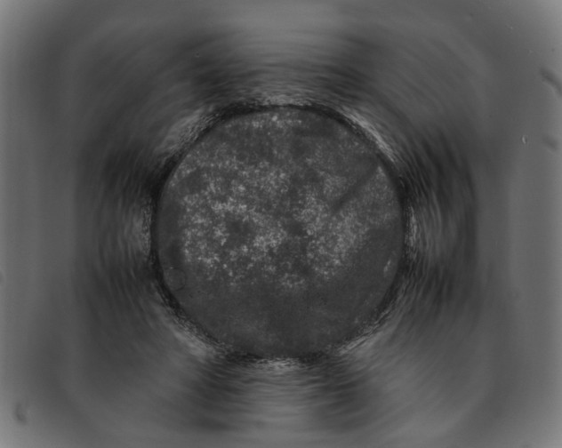 X0000092230402200710121222