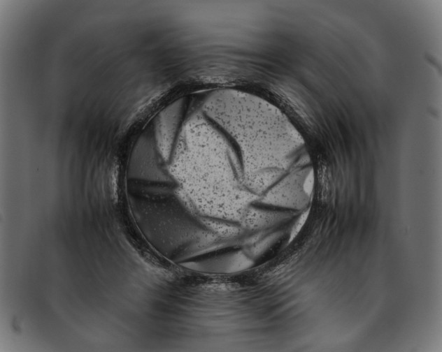 X0000092230404200710121222