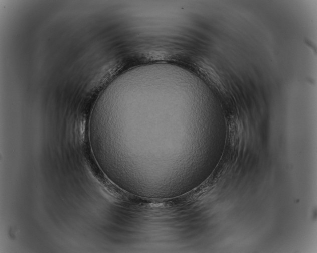 X0000092230406200710121222