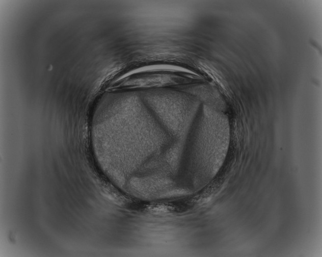 X0000092230407200710121222