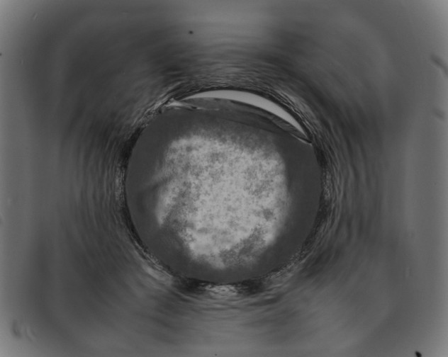 X0000092230409200710121222