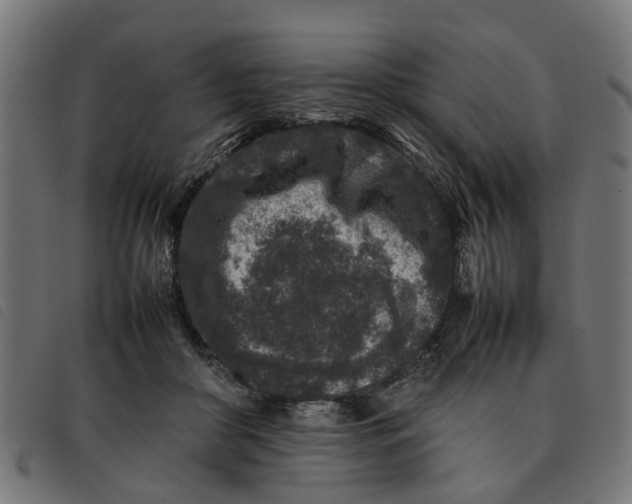 X0000092230410200710121222