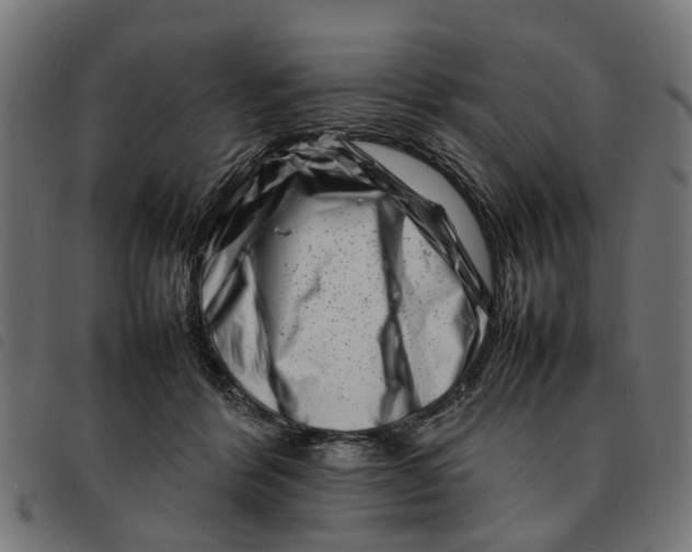 X0000092230412200710121222