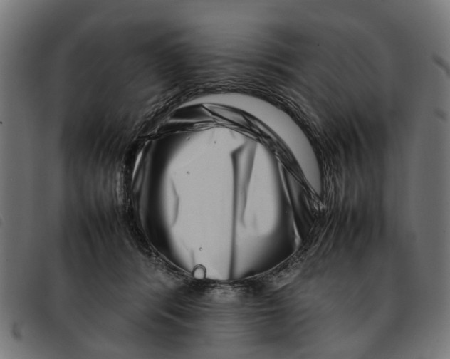 X0000092230416200710121222