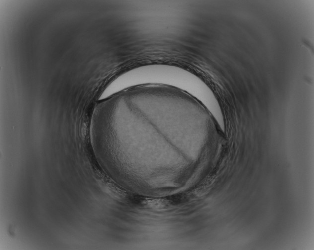 X0000092230417200710121222