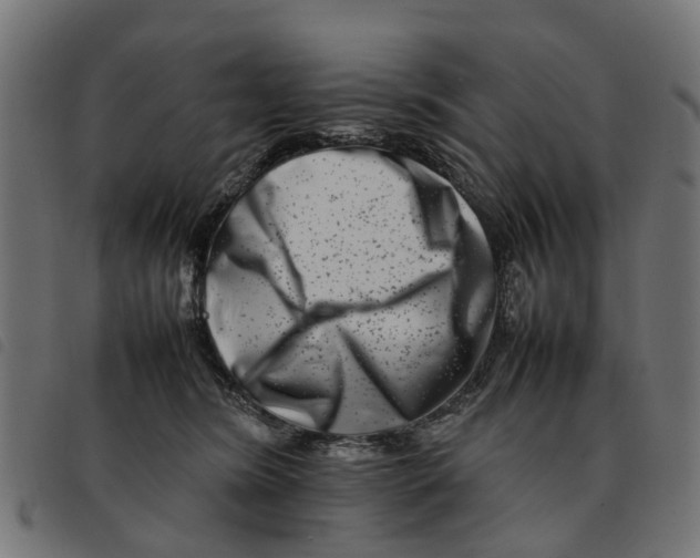 X0000092230420200710121222