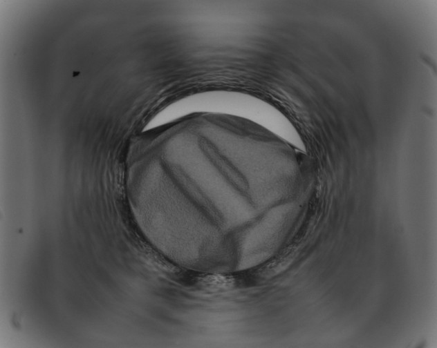 X0000092230421200710121222