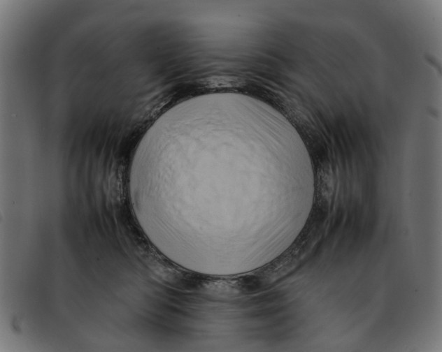 X0000092230422200710121222