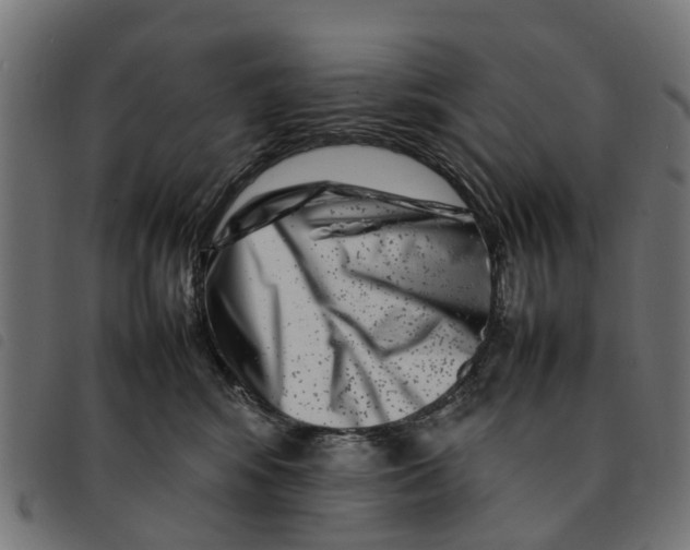 X0000092230424200710121222