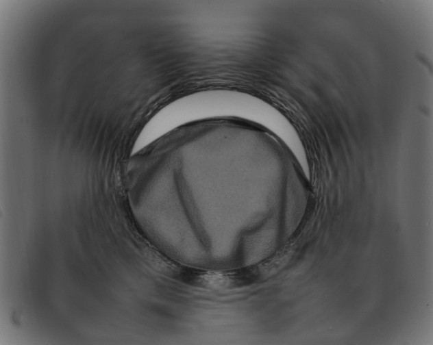 X0000092230425200710121222