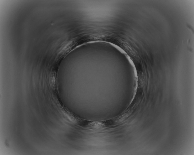 X0000092230427200710121222