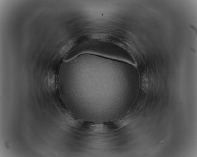 X0000092230428200710121222