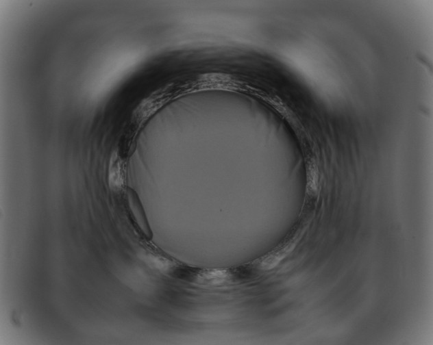 X0000092230431200710121222