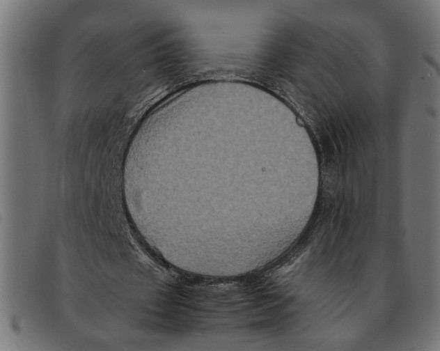 X0000092230433200710121221