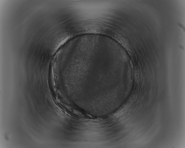 X0000092230434200710121221