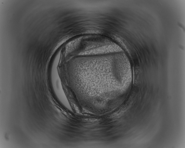 X0000092230435200710121221