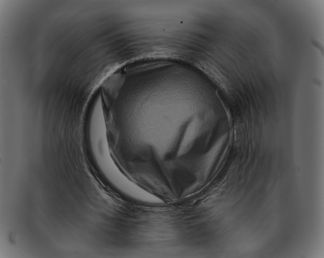 X0000092230436200710121221