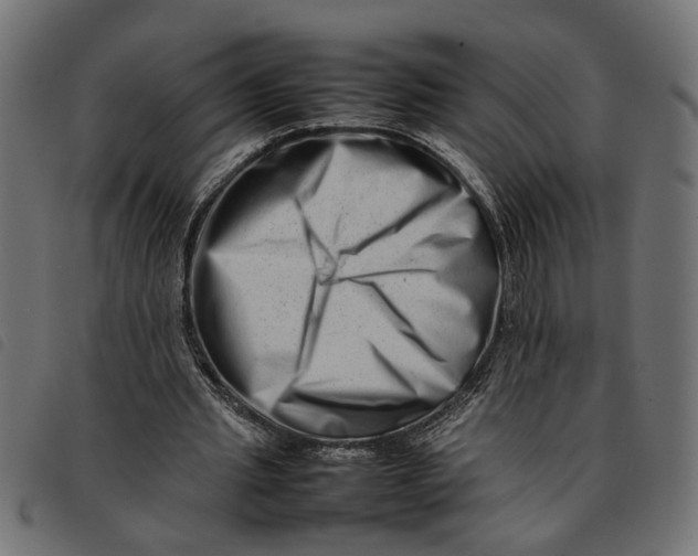 X0000092230437200710121221