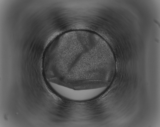 X0000092230438200710121221