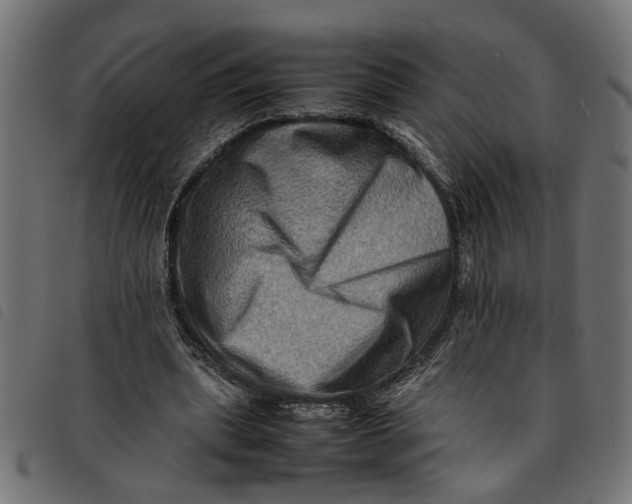 X0000092230439200710121221