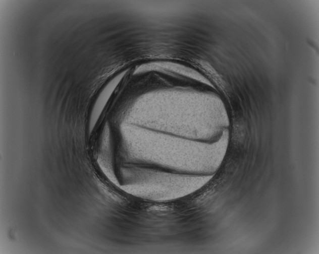 X0000092230441200710121221