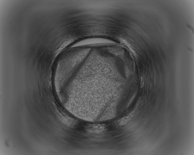 X0000092230443200710121221