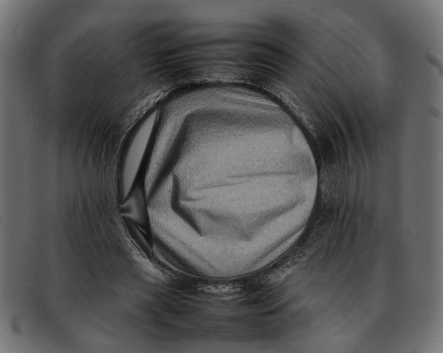 X0000092230445200710121221