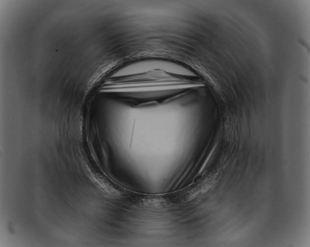 X0000092230446200710121221